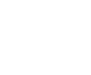 ترمزسازان